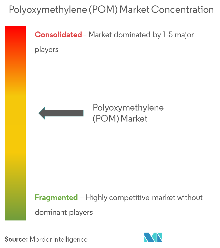 Polyoxymethylene (POM) Market - Market Concentration